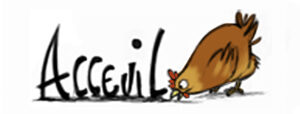 Accueil